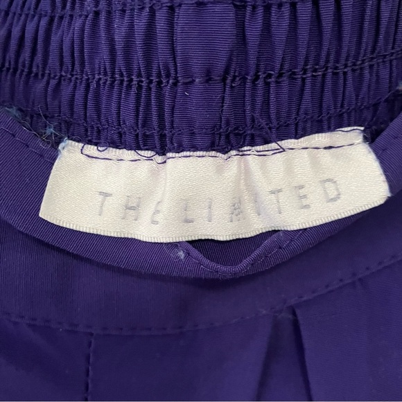 VTG The Limited Women’s Sz. L High Waist Pleated Rayon Shorts Mom Purple Preppy - Picture 3 of 7